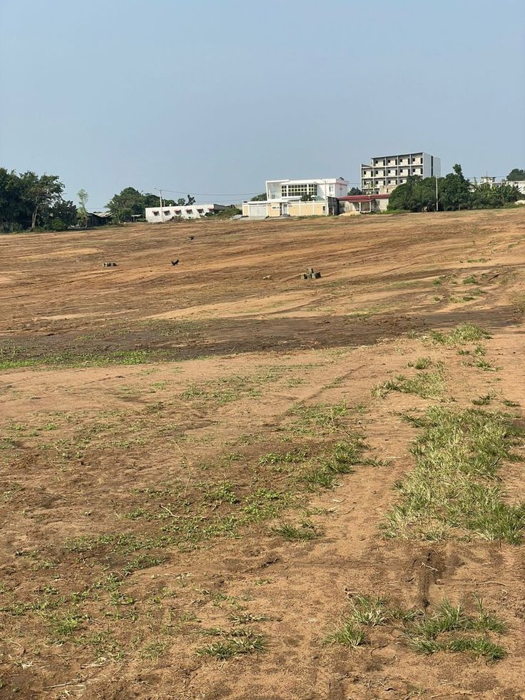Land